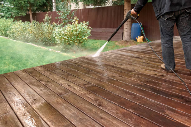 Best Building Exterior Washing  in Louisburg, NC